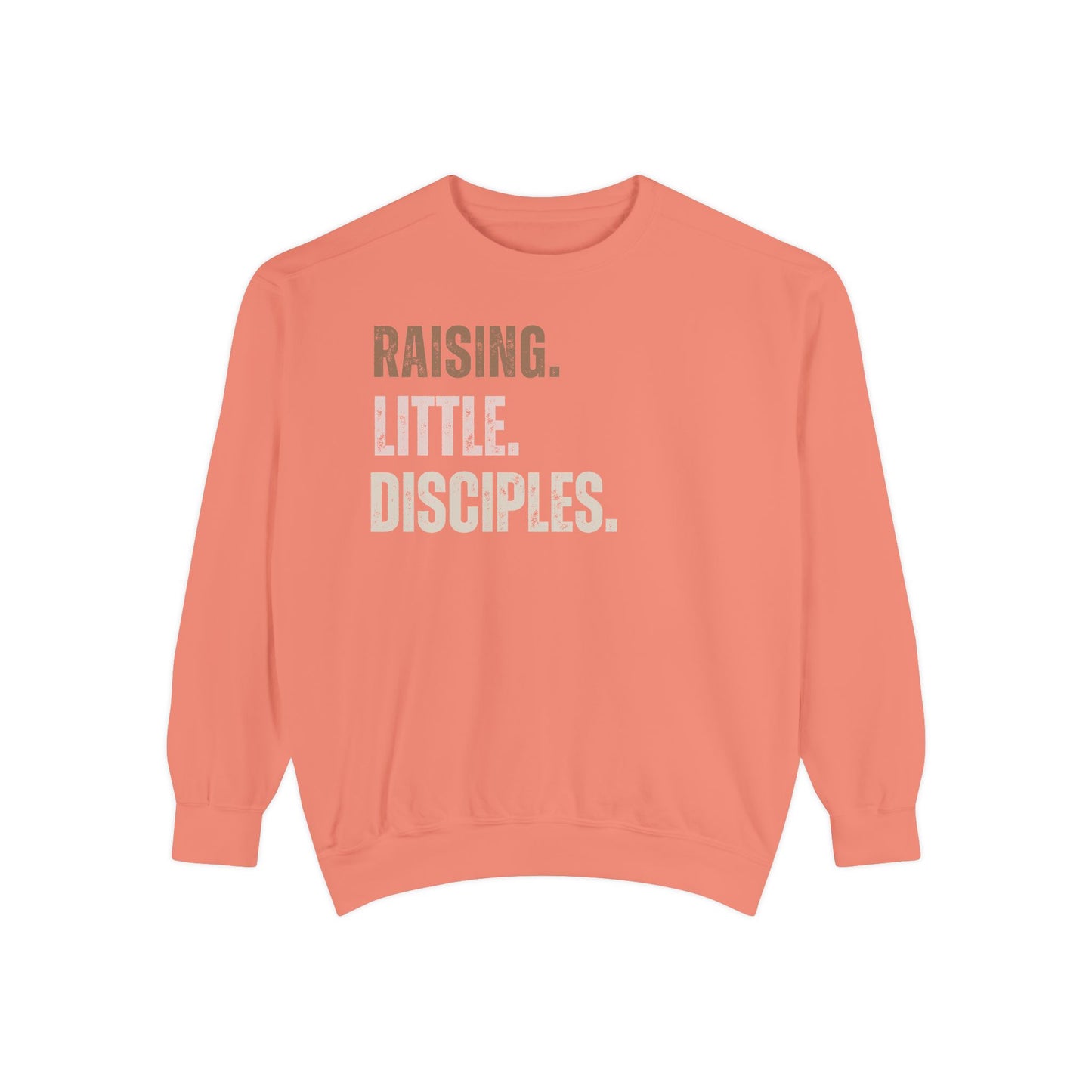 Religious Sweatshirt - Raising Little Disciples