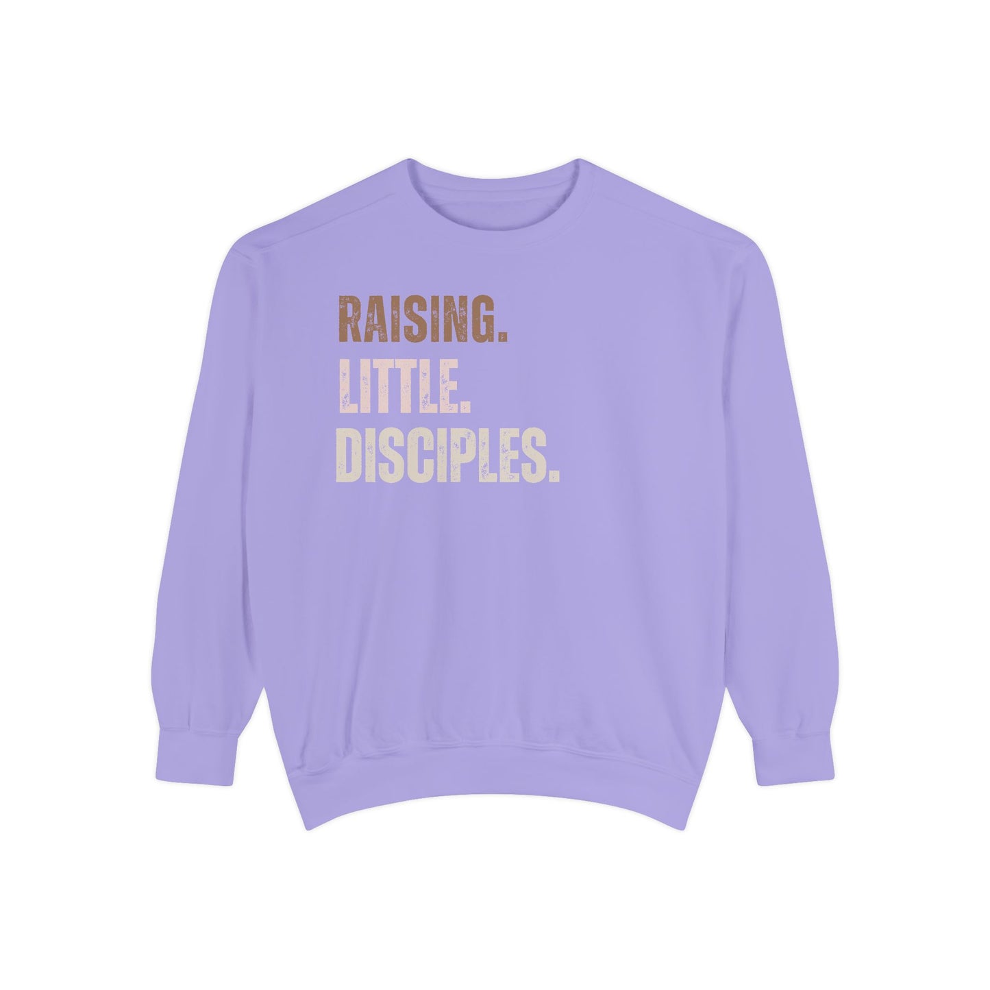 Religious Sweatshirt - Raising Little Disciples