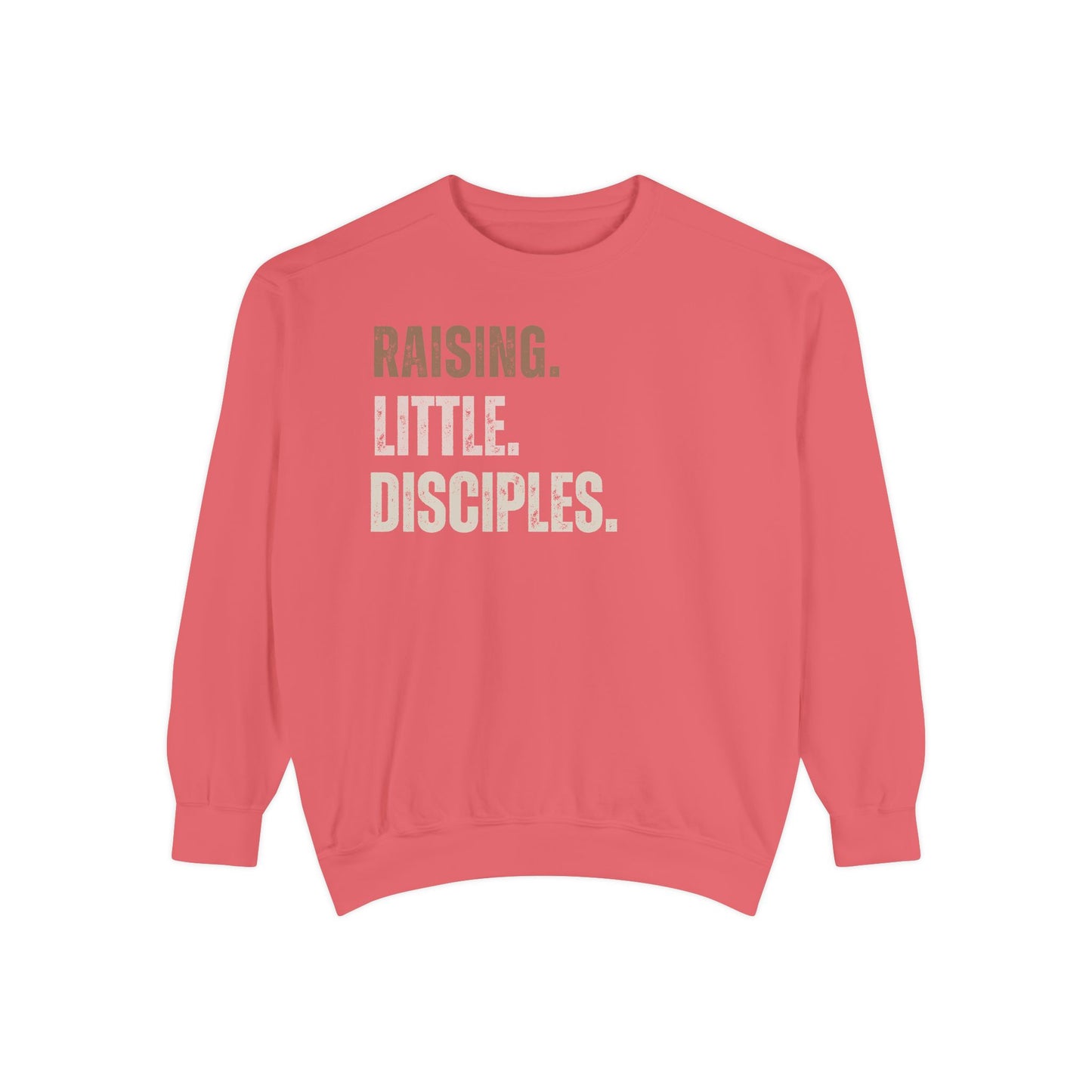 Religious Sweatshirt - Raising Little Disciples